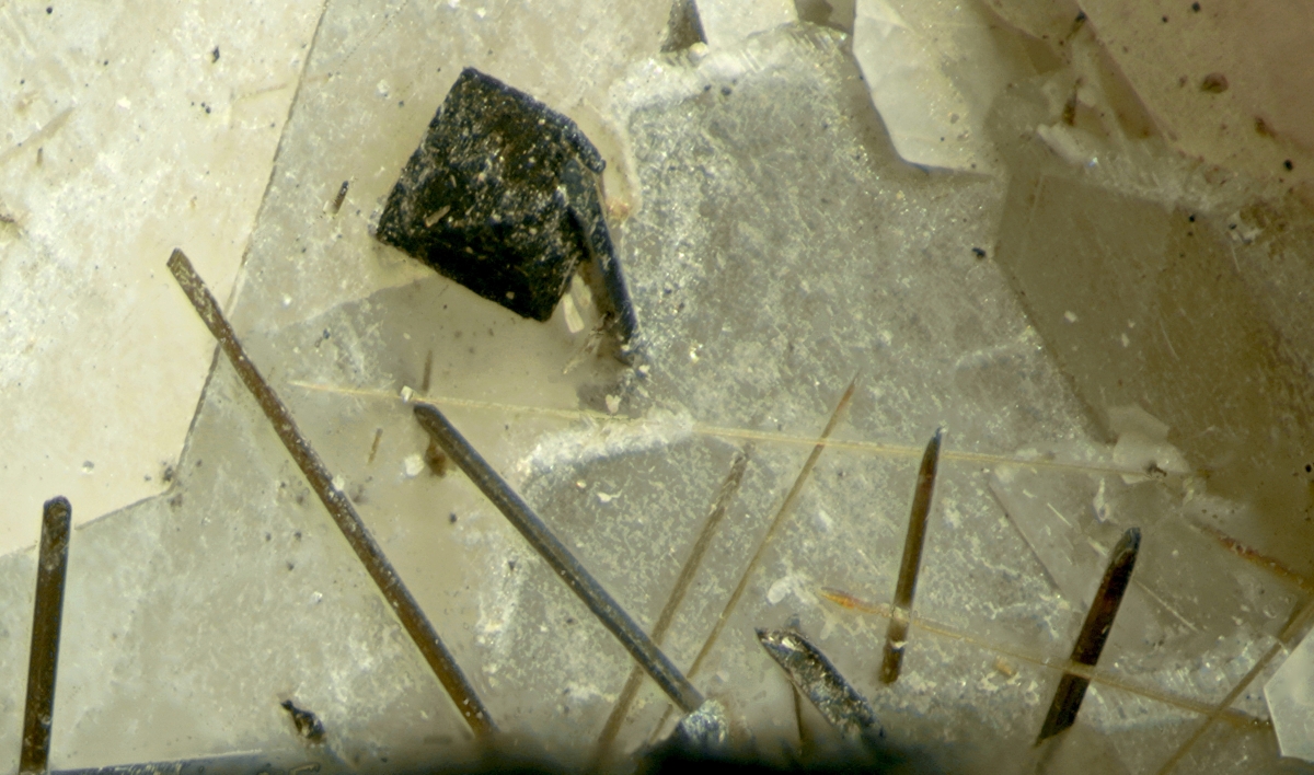 Catapleiite With Pyrochlore Group & Epistolite