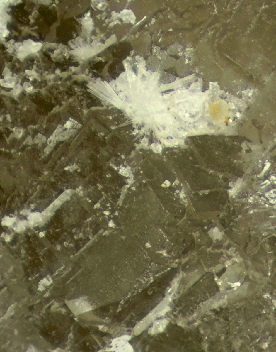 Lintisite On Ussingite