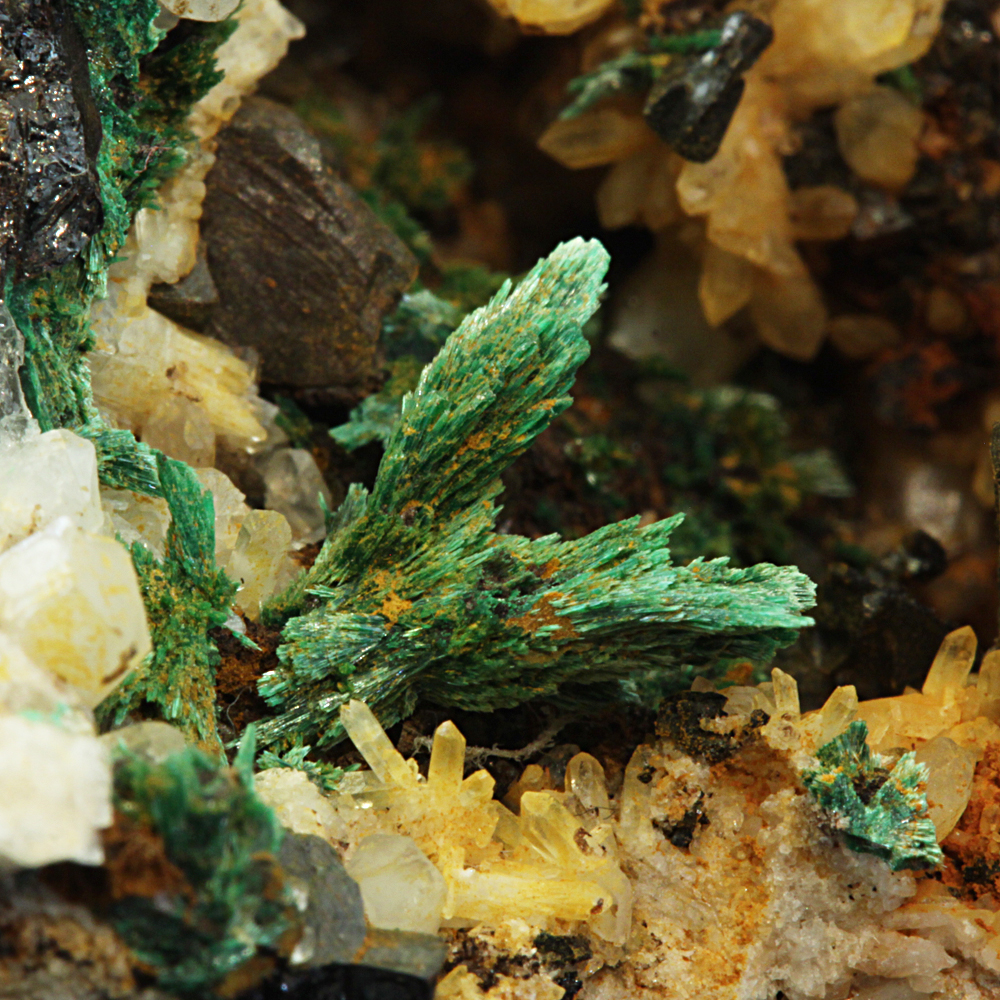 Malachite & Chalcopyrite