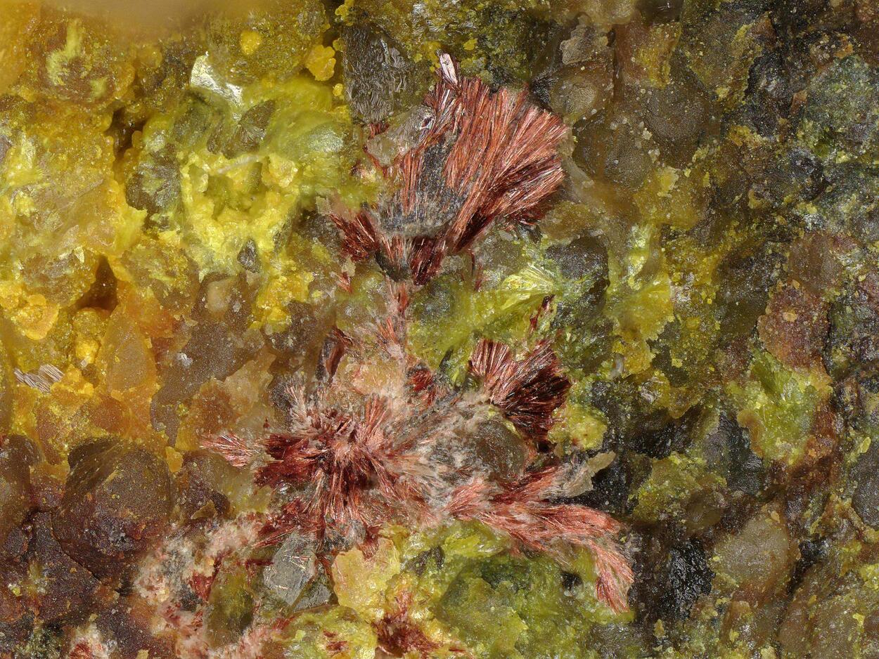 Hewettite & Rauvite