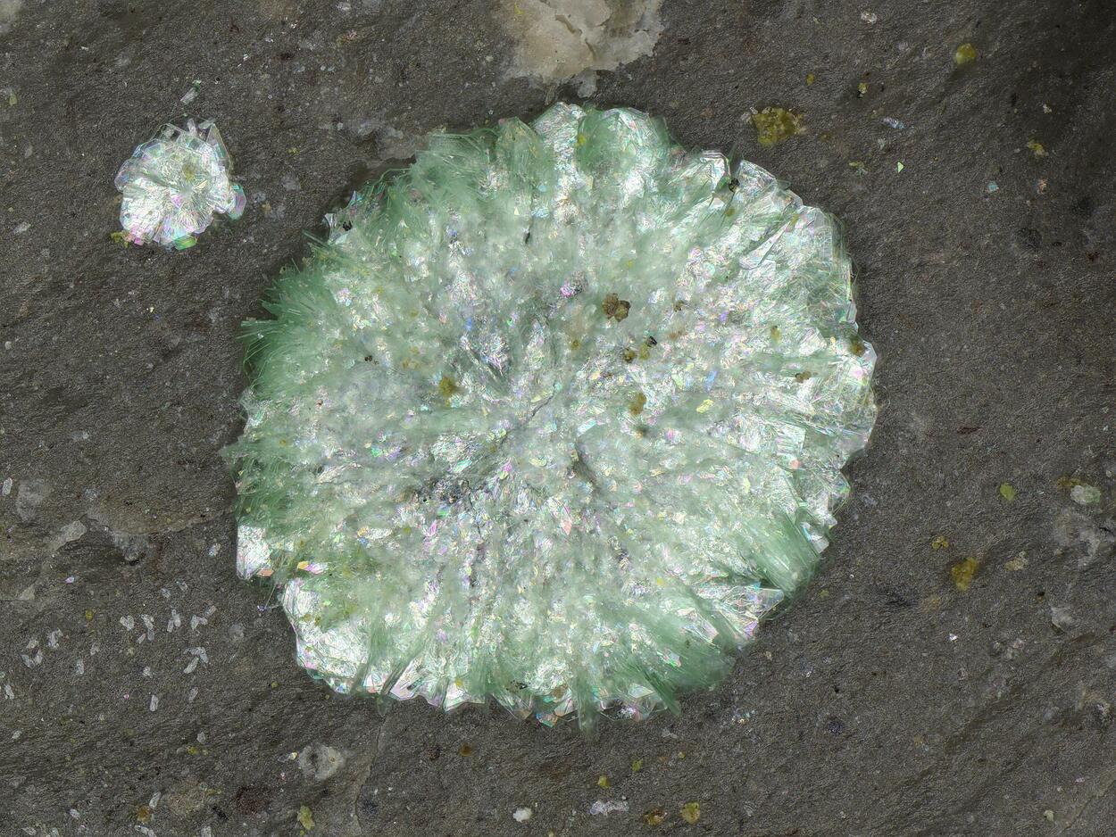 Fulbrightite