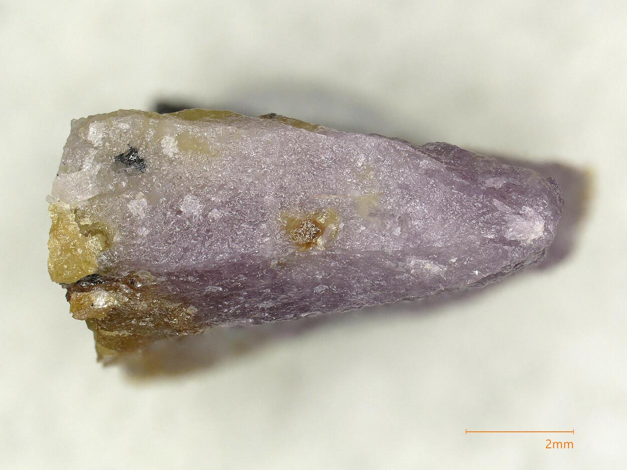 Turneaureite
