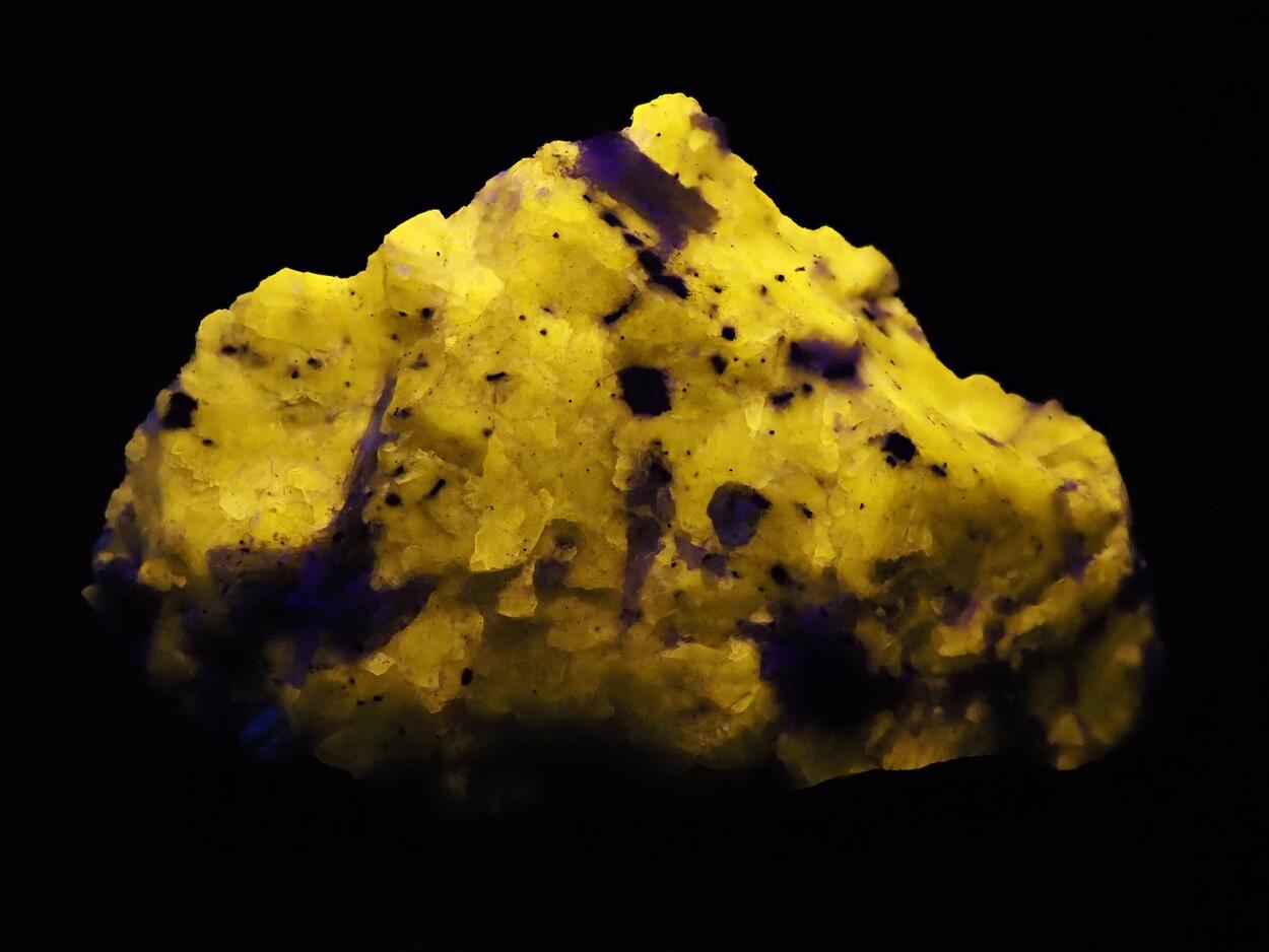 Wernerite