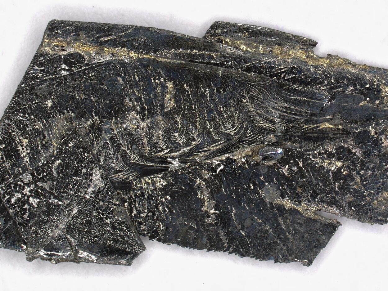 Herzenbergite & Westerveldite & Tin