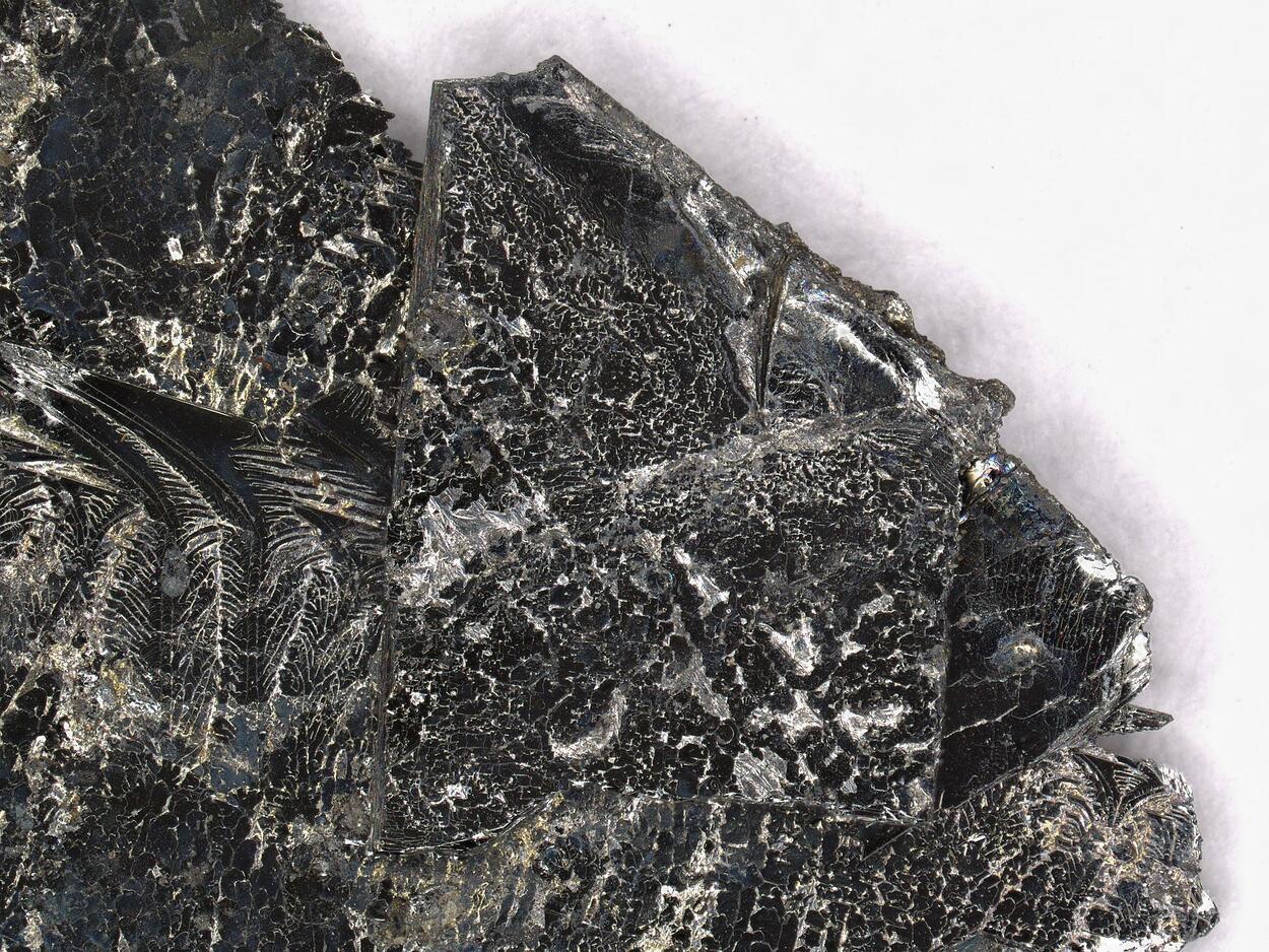 Herzenbergite & Westerveldite & Tin