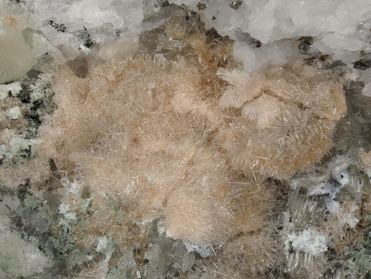 Rimkorolgite