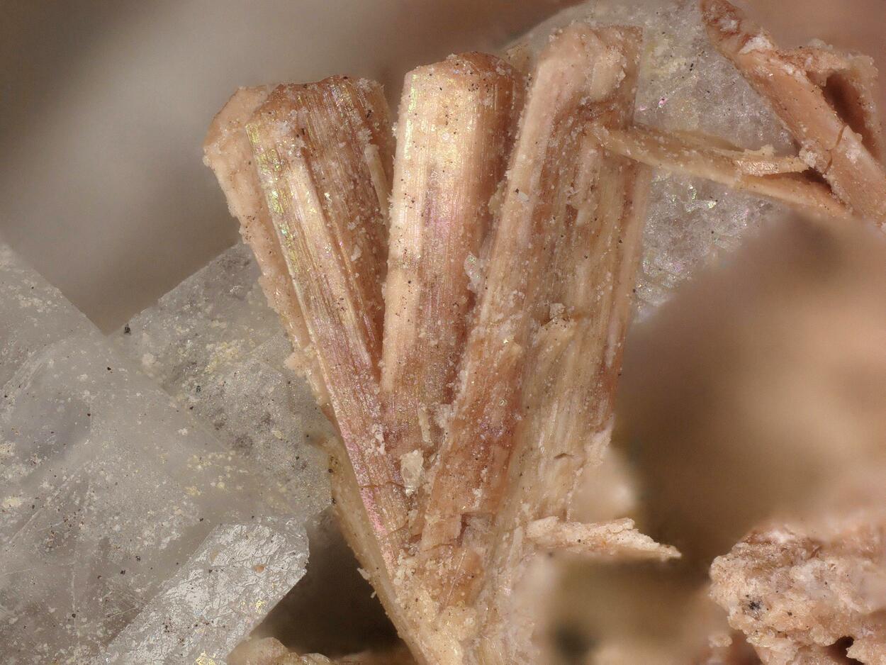 Fluorcalcioroméite Psm Stibnite