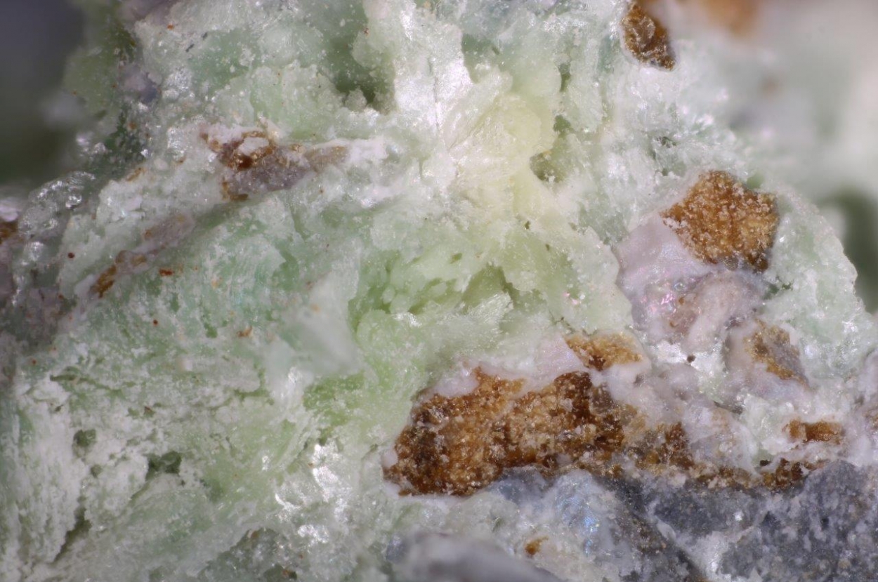 Montgomeryite