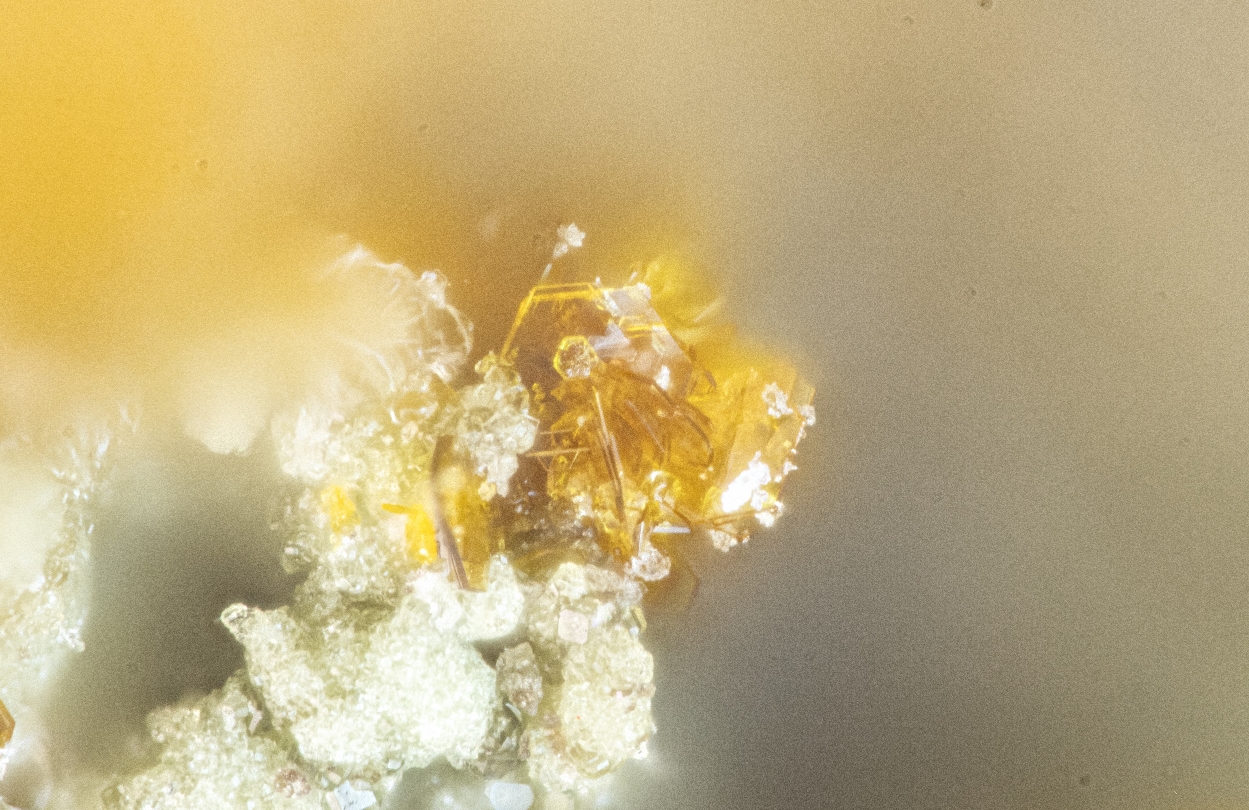 Clairite & Ammoniomagnesiovoltaite