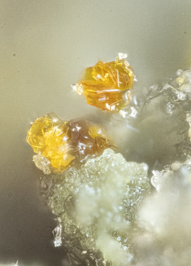 Clairite & Ammoniomagnesiovoltaite