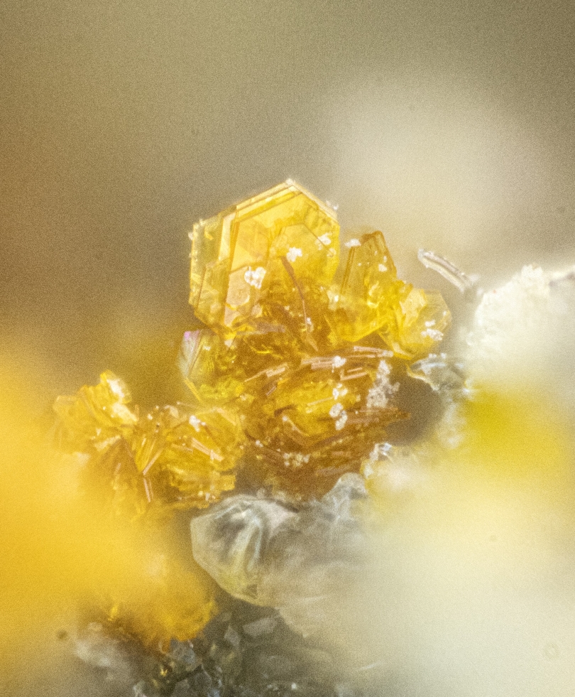 Clairite & Ammoniomagnesiovoltaite