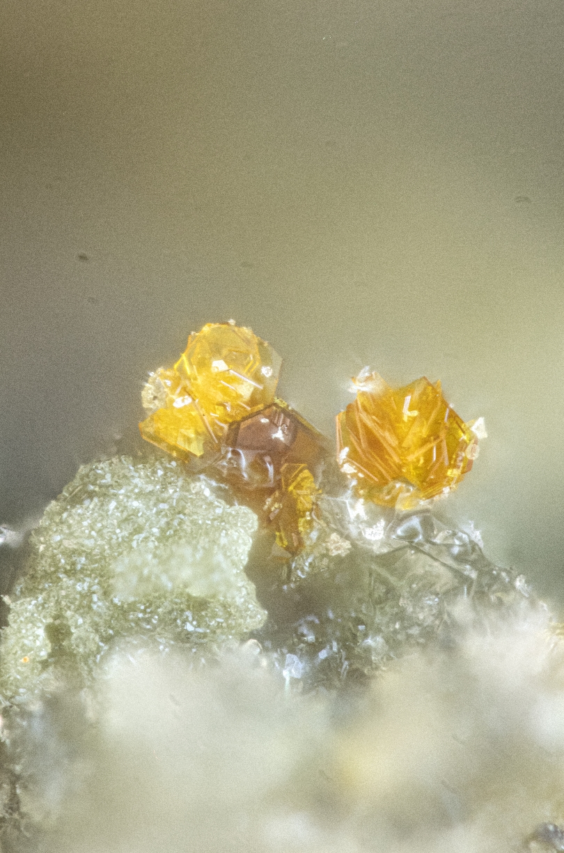 Clairite & Ammoniomagnesiovoltaite