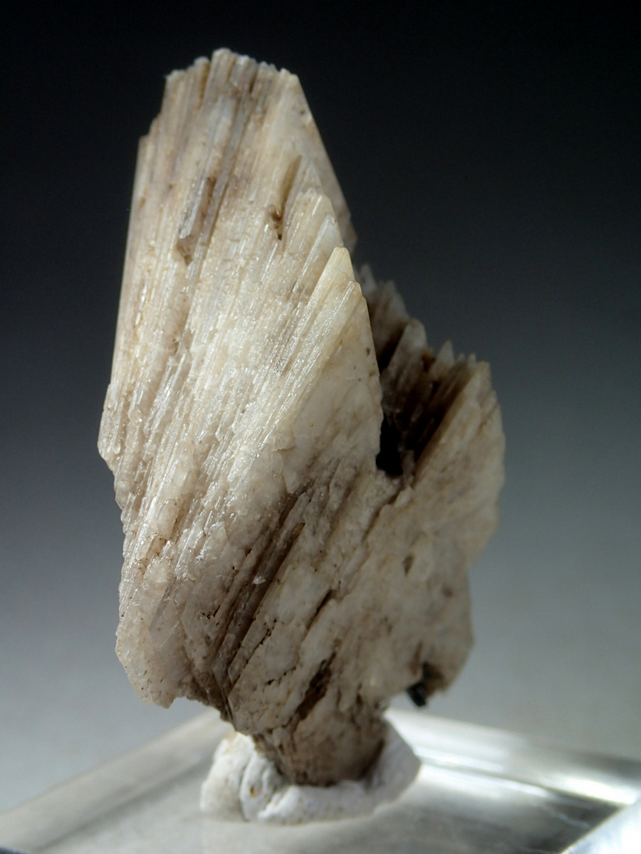 Eudidymite & Aegirine