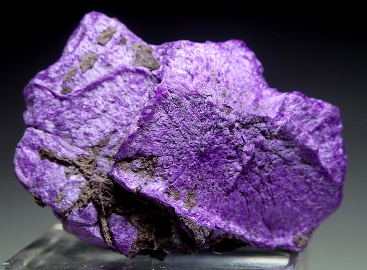 Sugilite