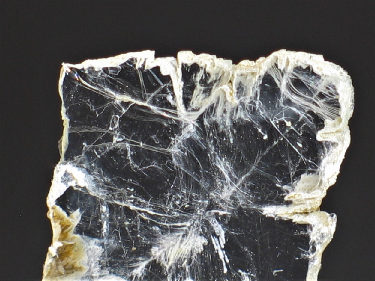 Tunellite