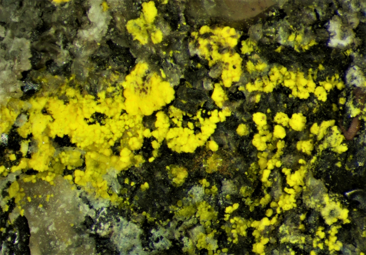 Natrozippeite & Coffinite