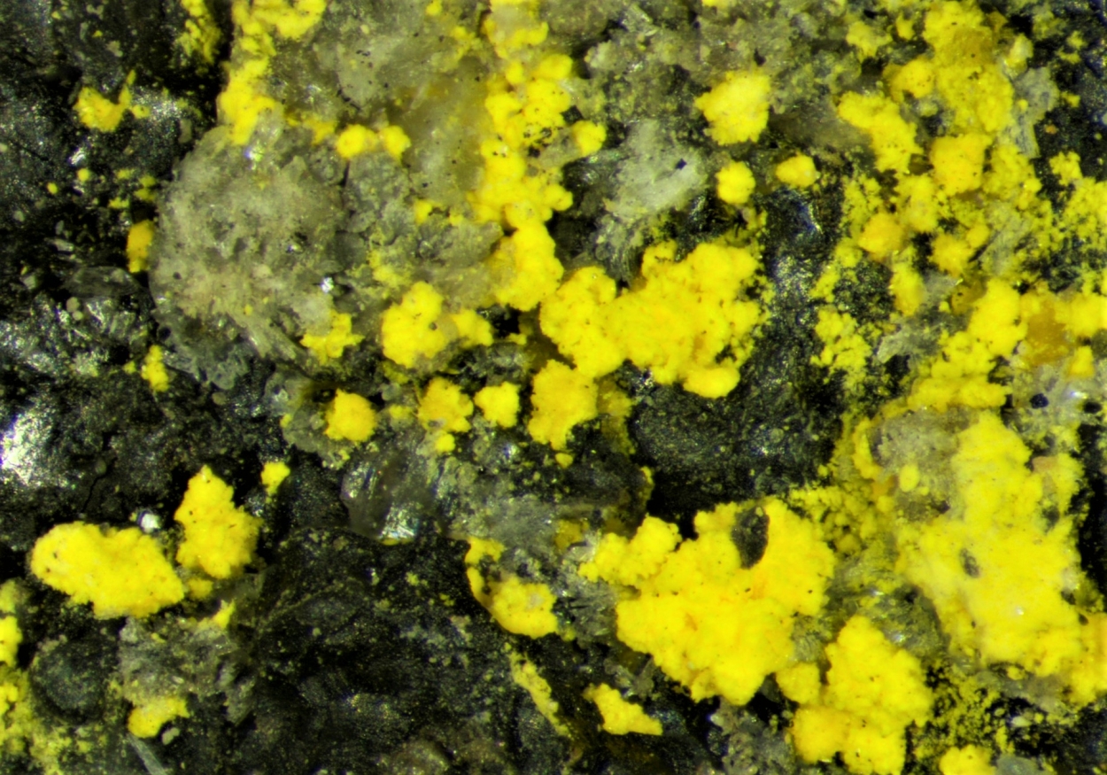 Natrozippeite & Coffinite