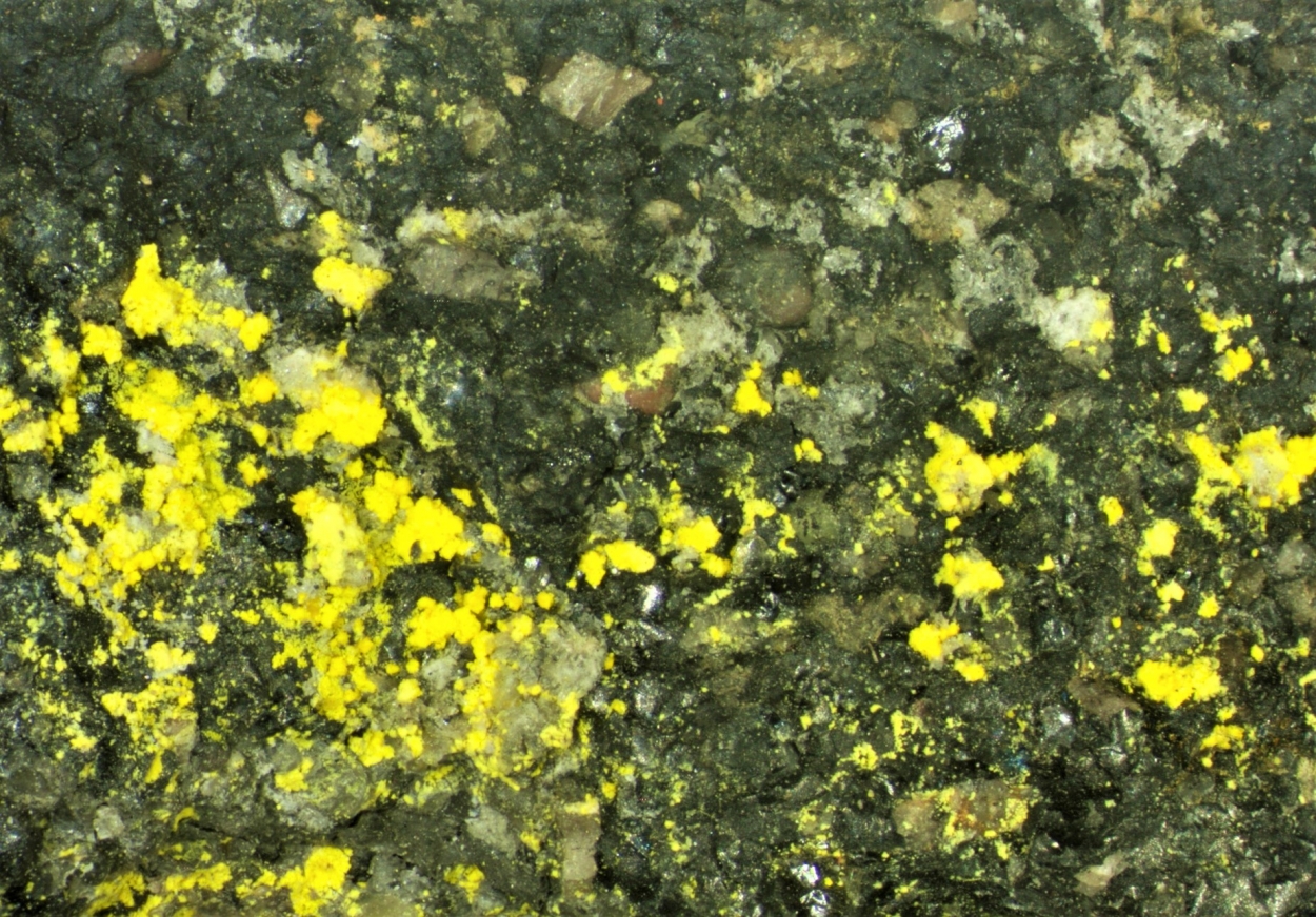 Natrozippeite & Coffinite