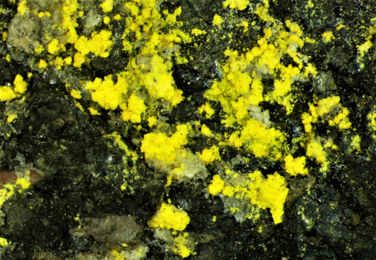 Natrozippeite & Coffinite