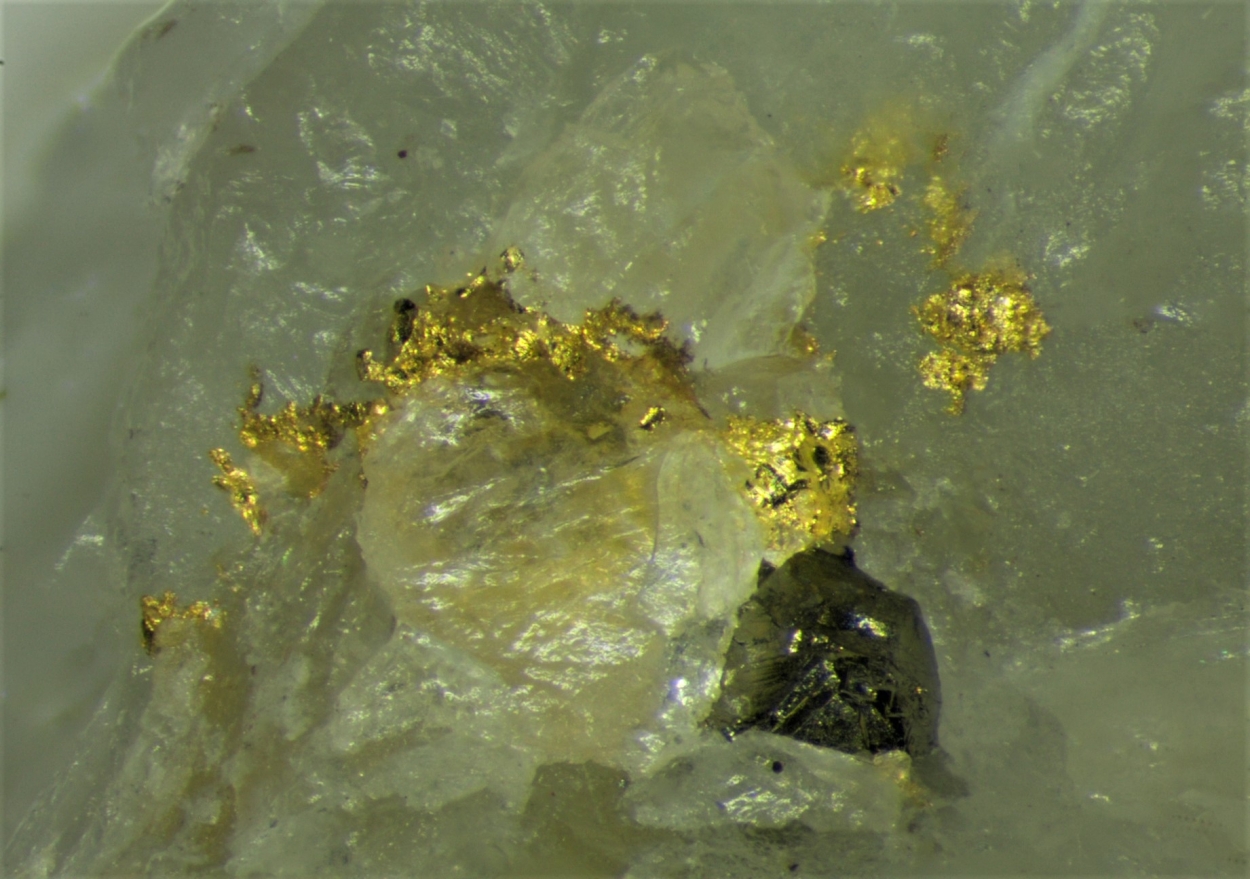 Gold