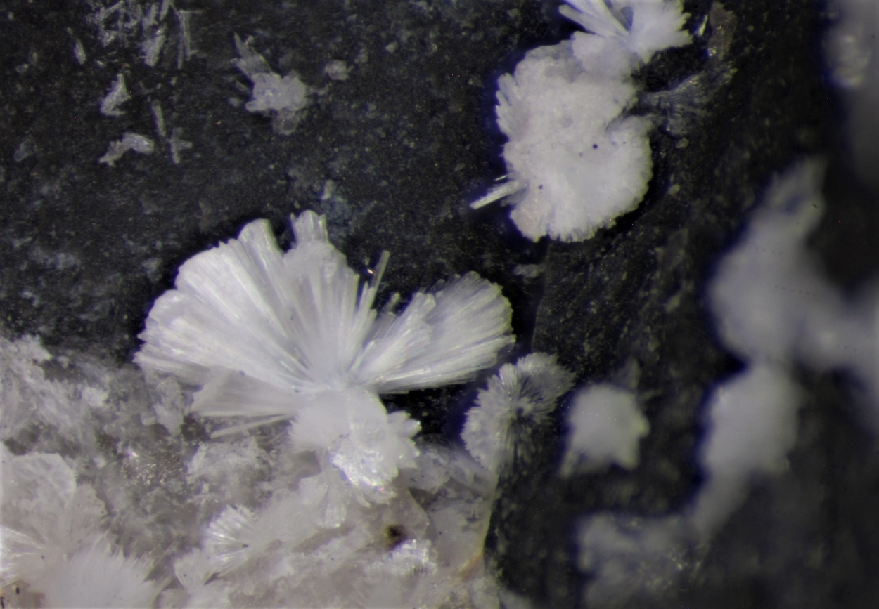 Guérinite