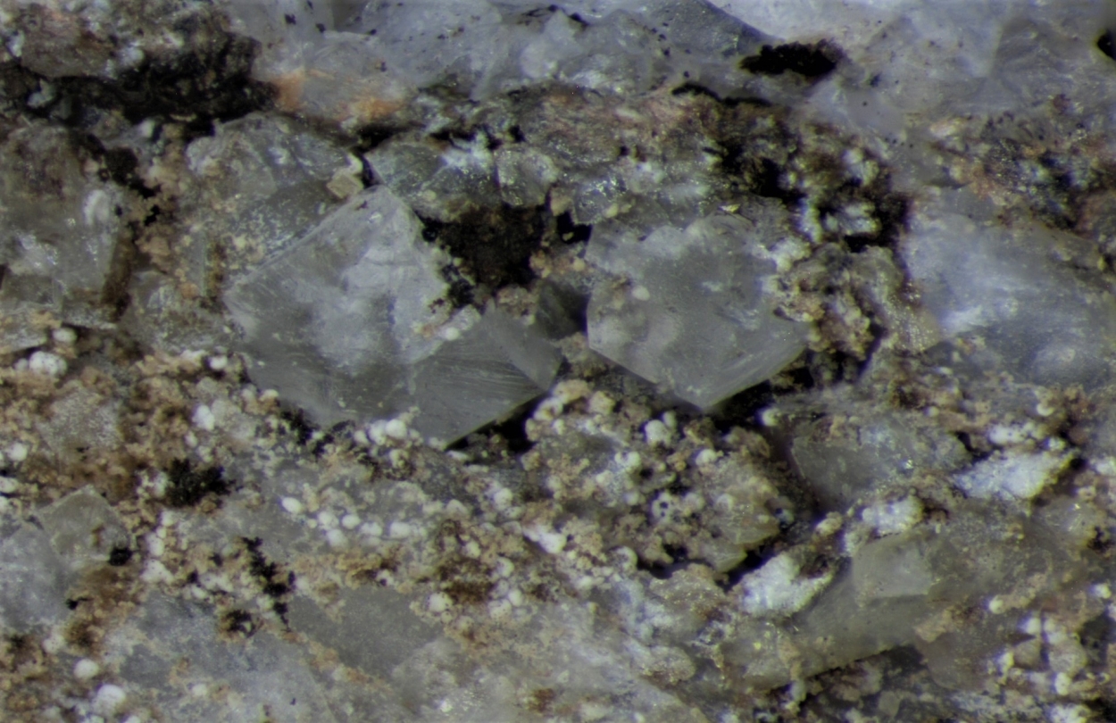 Epididymite