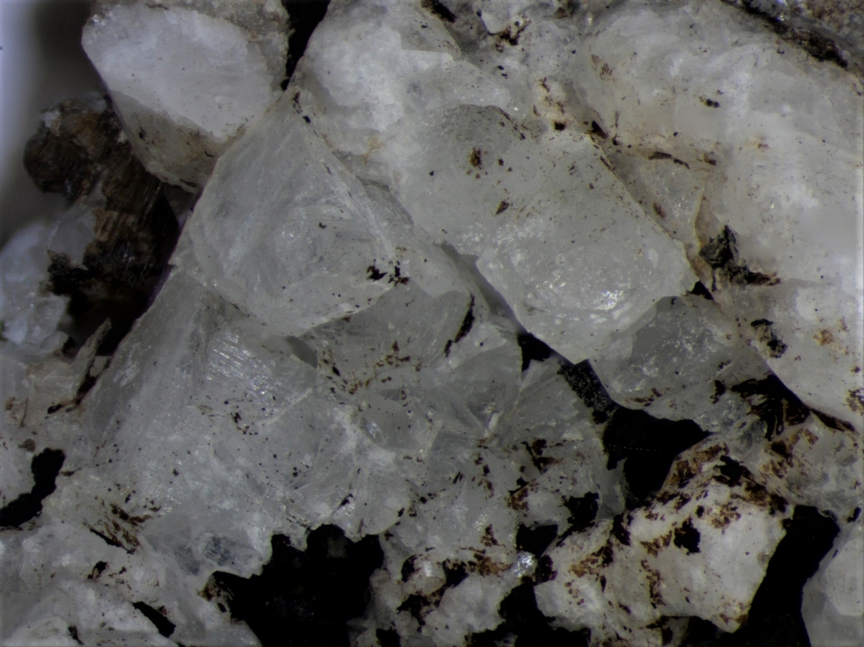 Epididymite
