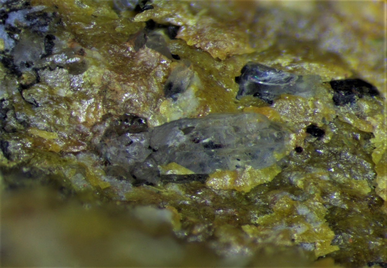 Gold & Iodargyrite