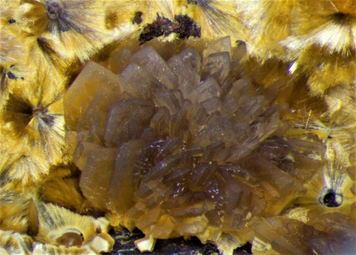 Strengite & Cacoxenite
