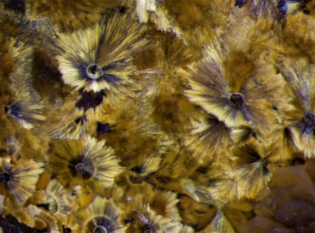 Strengite & Cacoxenite