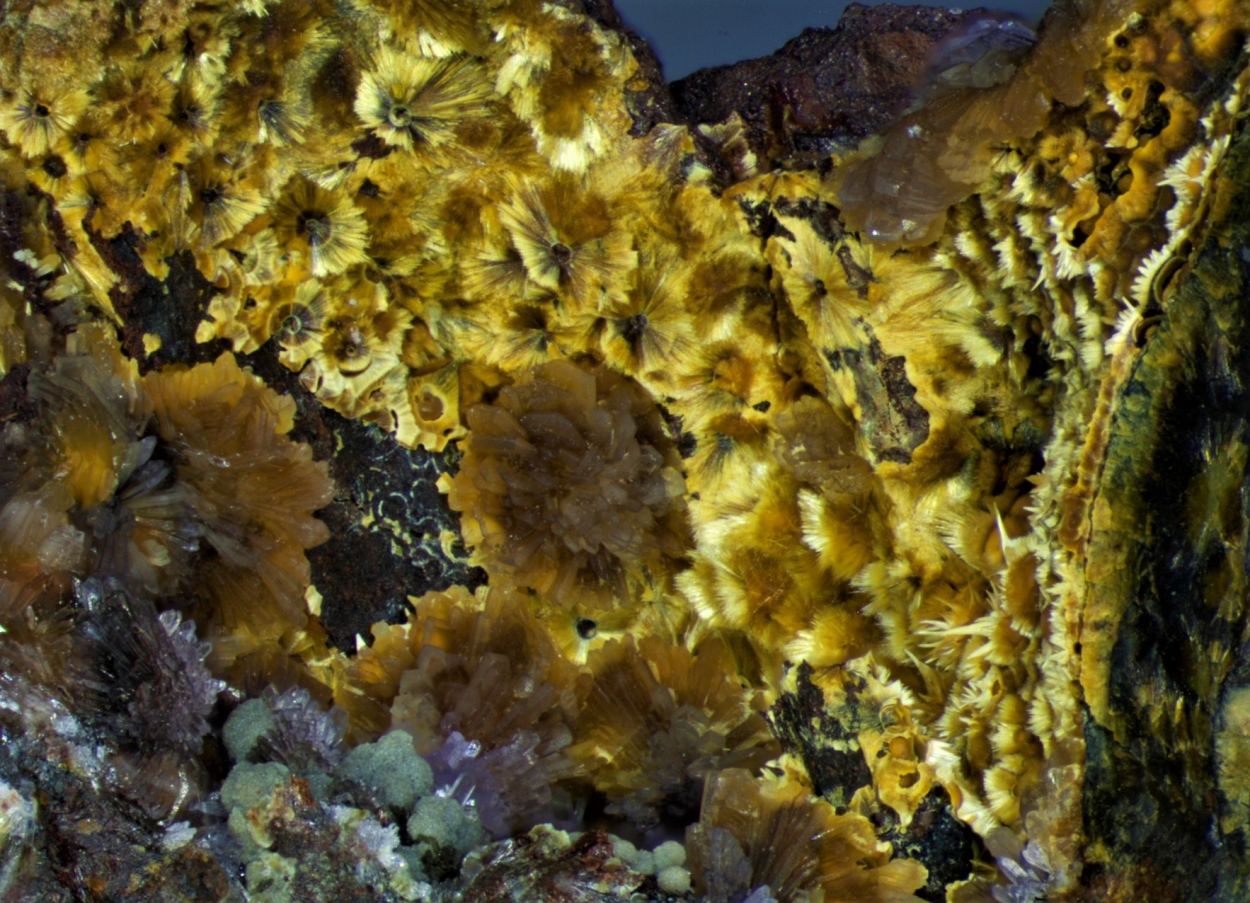 Strengite & Cacoxenite