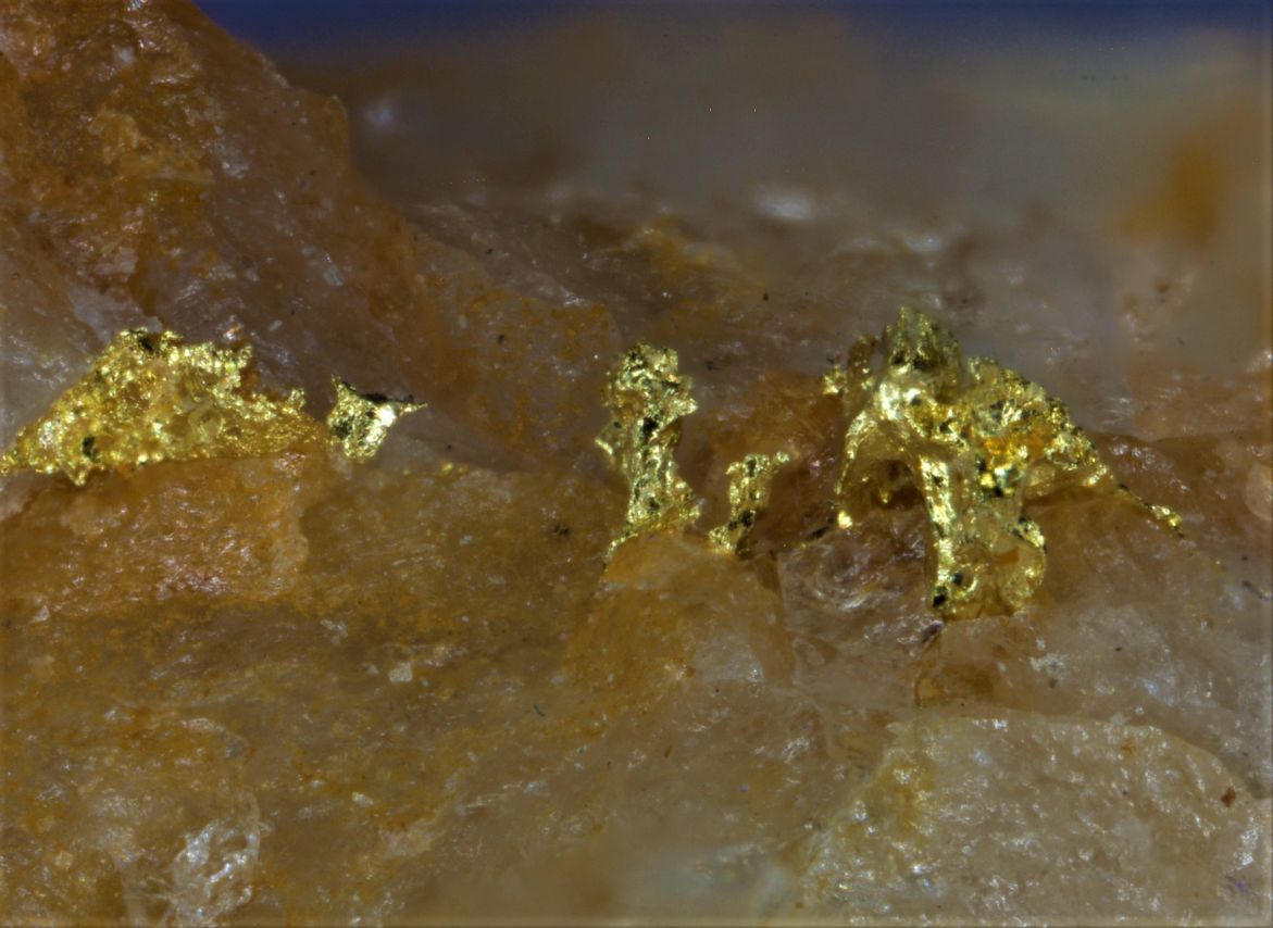 Gold