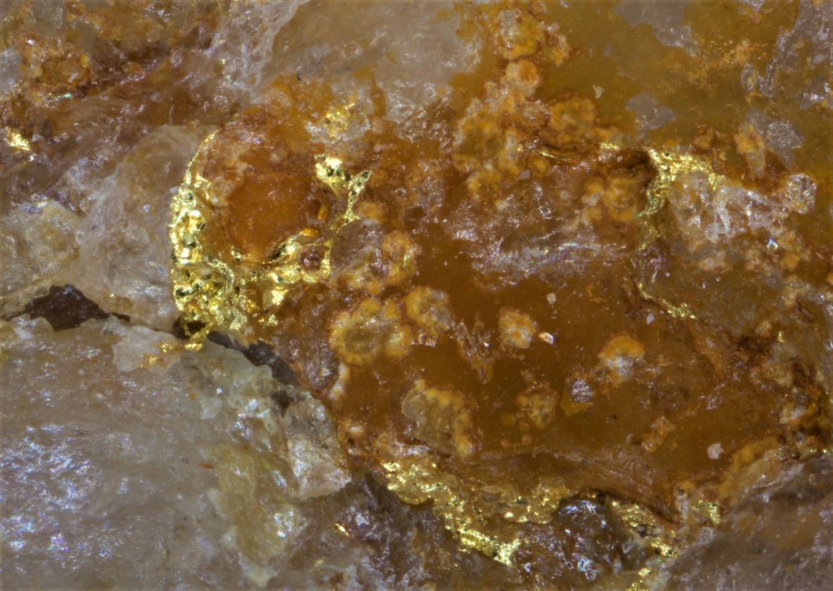 Gold