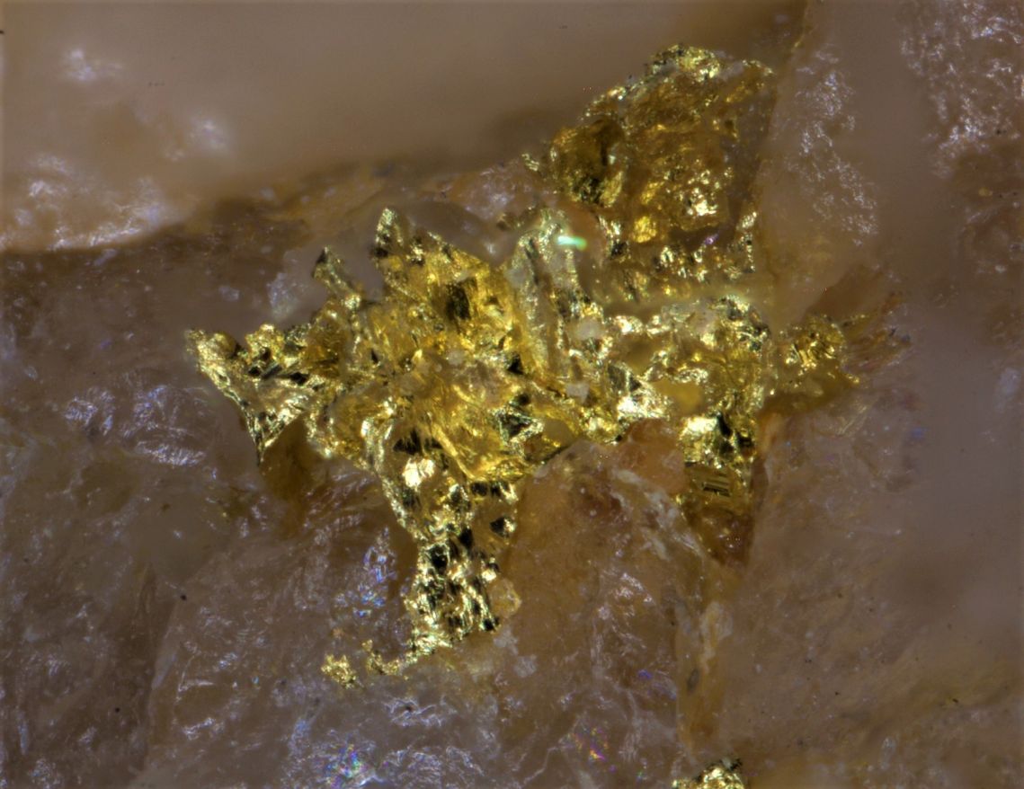 Gold