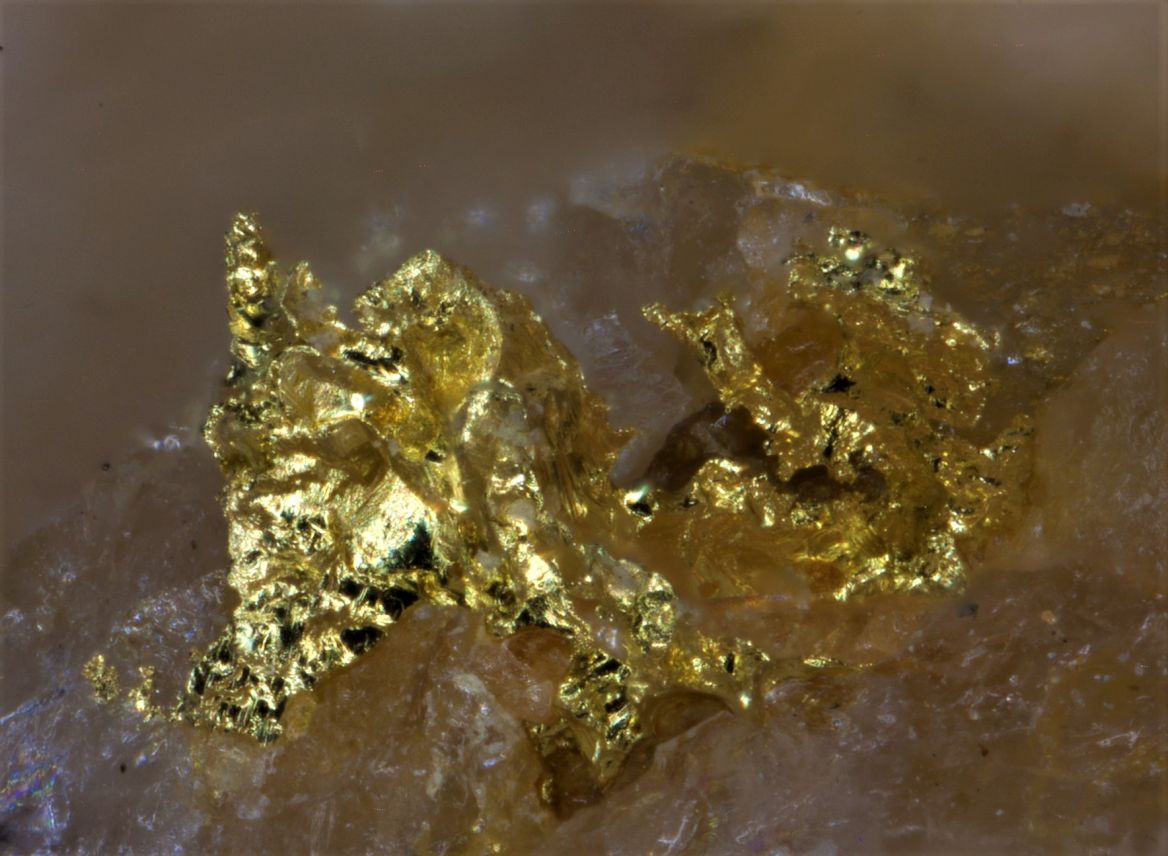 Gold