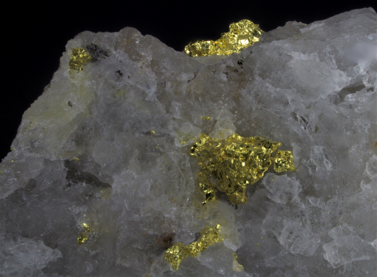 Gold