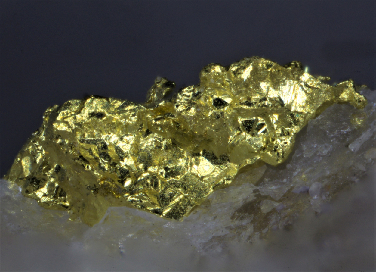 Gold