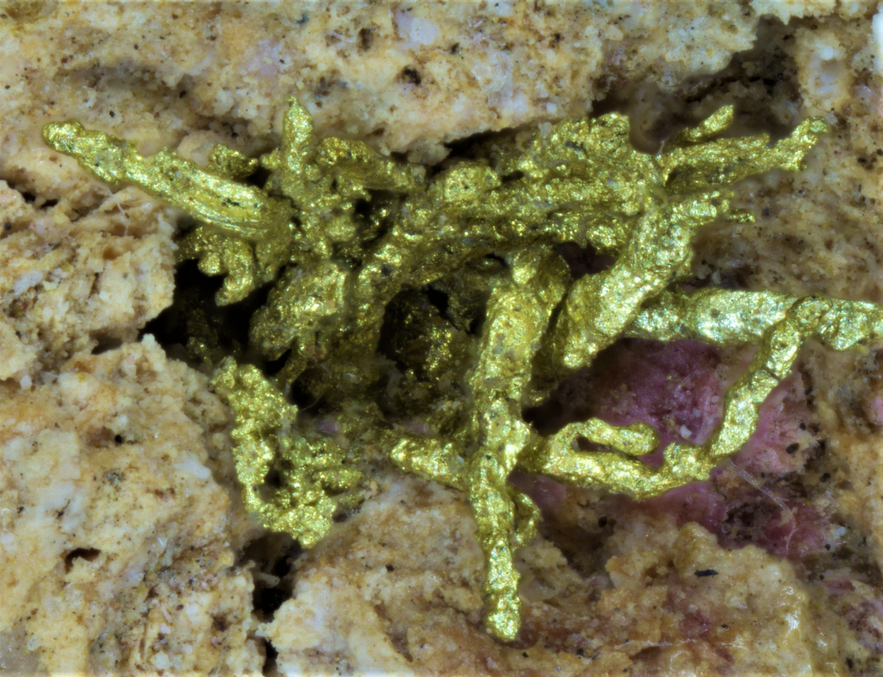 Gold & Electrum On Erythrite