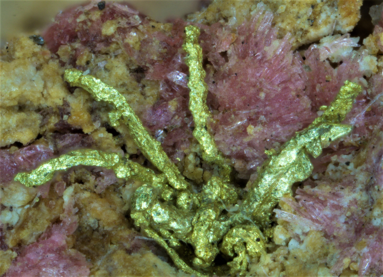 Gold & Electrum On Erythrite