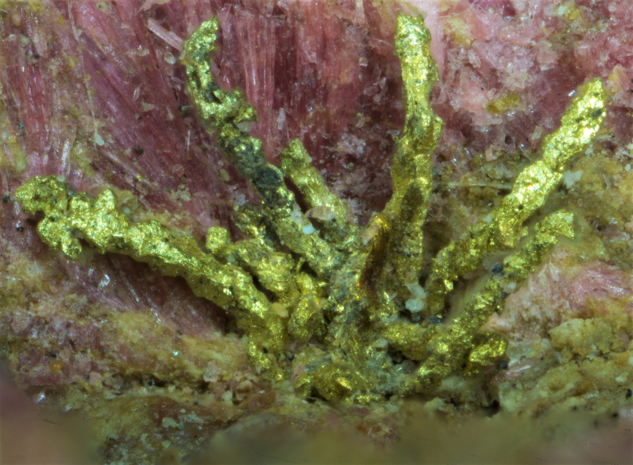 Gold & Electrum On Erythrite