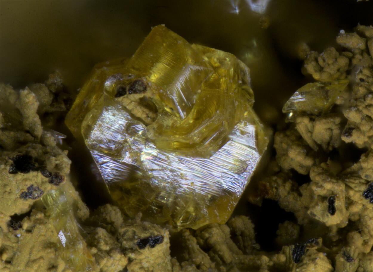 Stewartite Pseudolaueite Strunzite