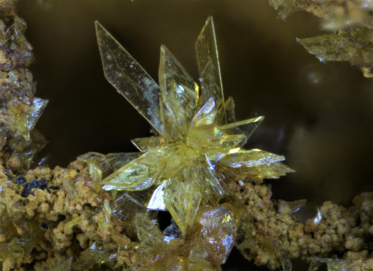 Stewartite Pseudolaueite Strunzite