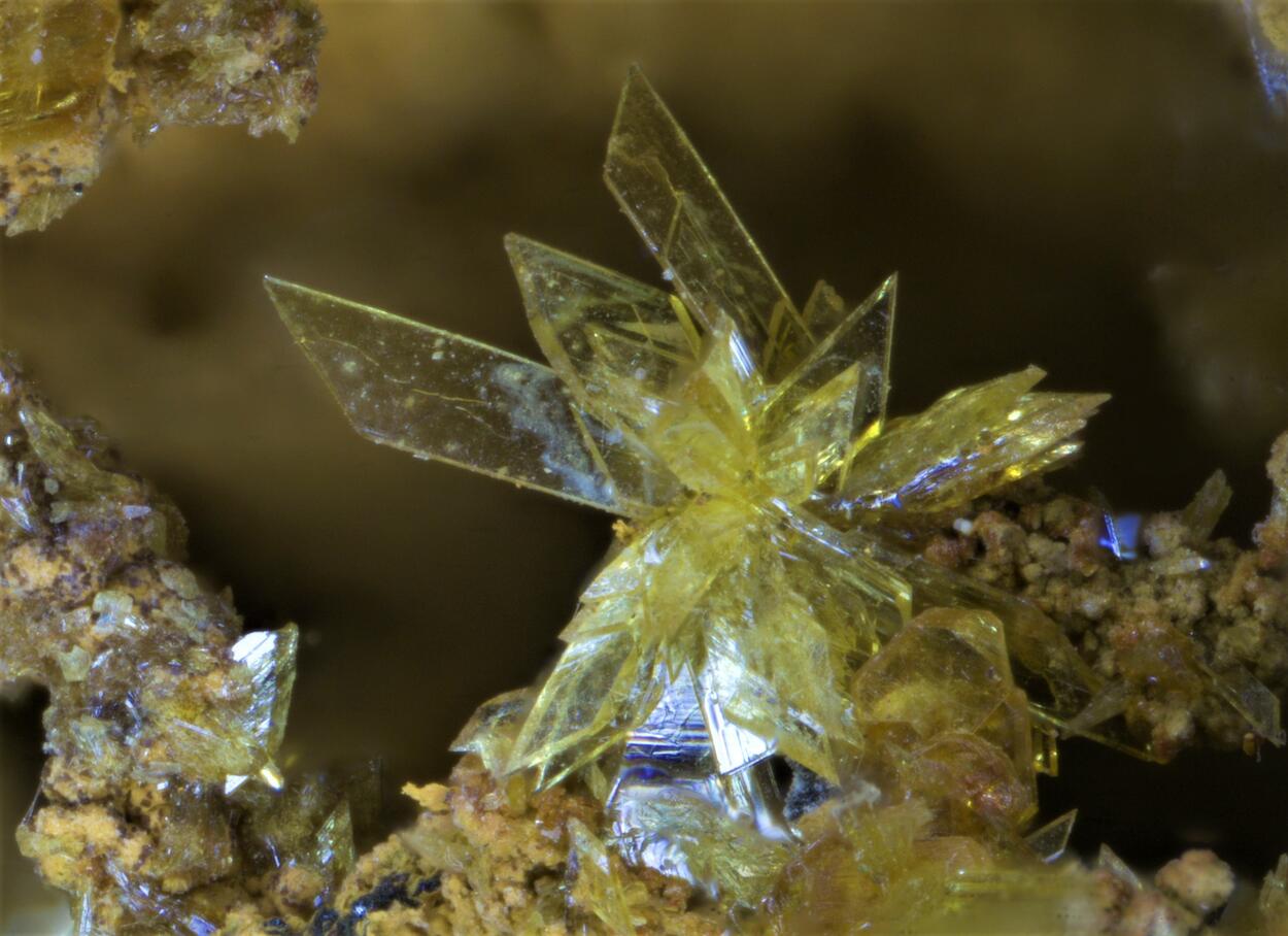Stewartite Pseudolaueite Strunzite