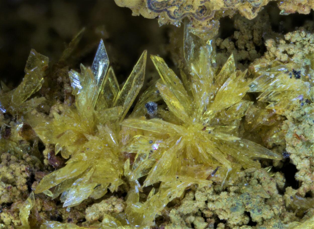 Stewartite Pseudolaueite Strunzite