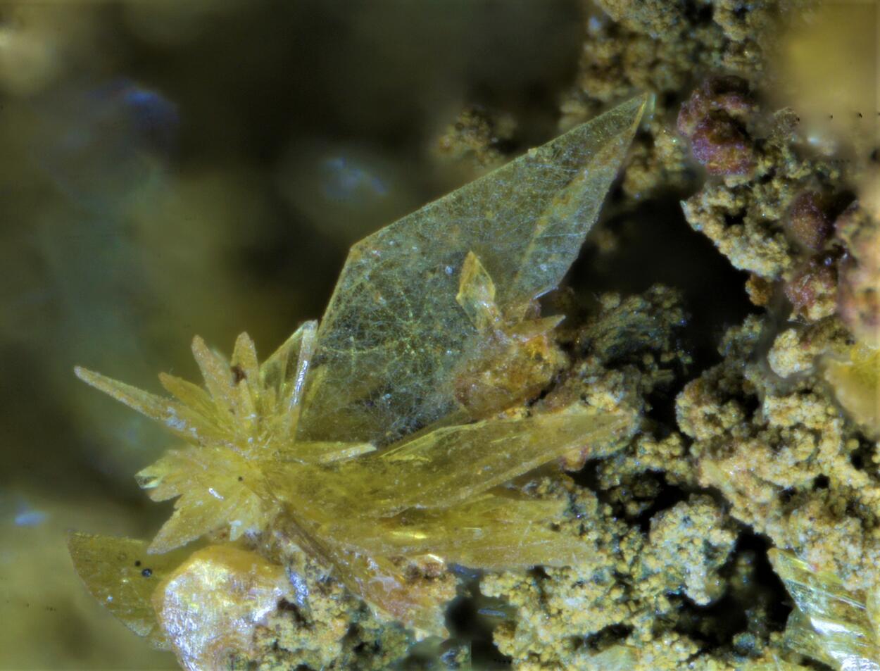 Stewartite Pseudolaueite Strunzite