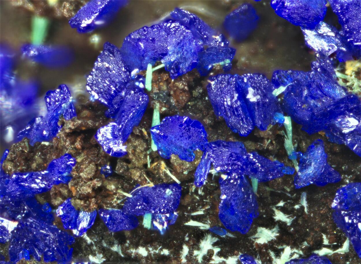 Azurite & Malachite