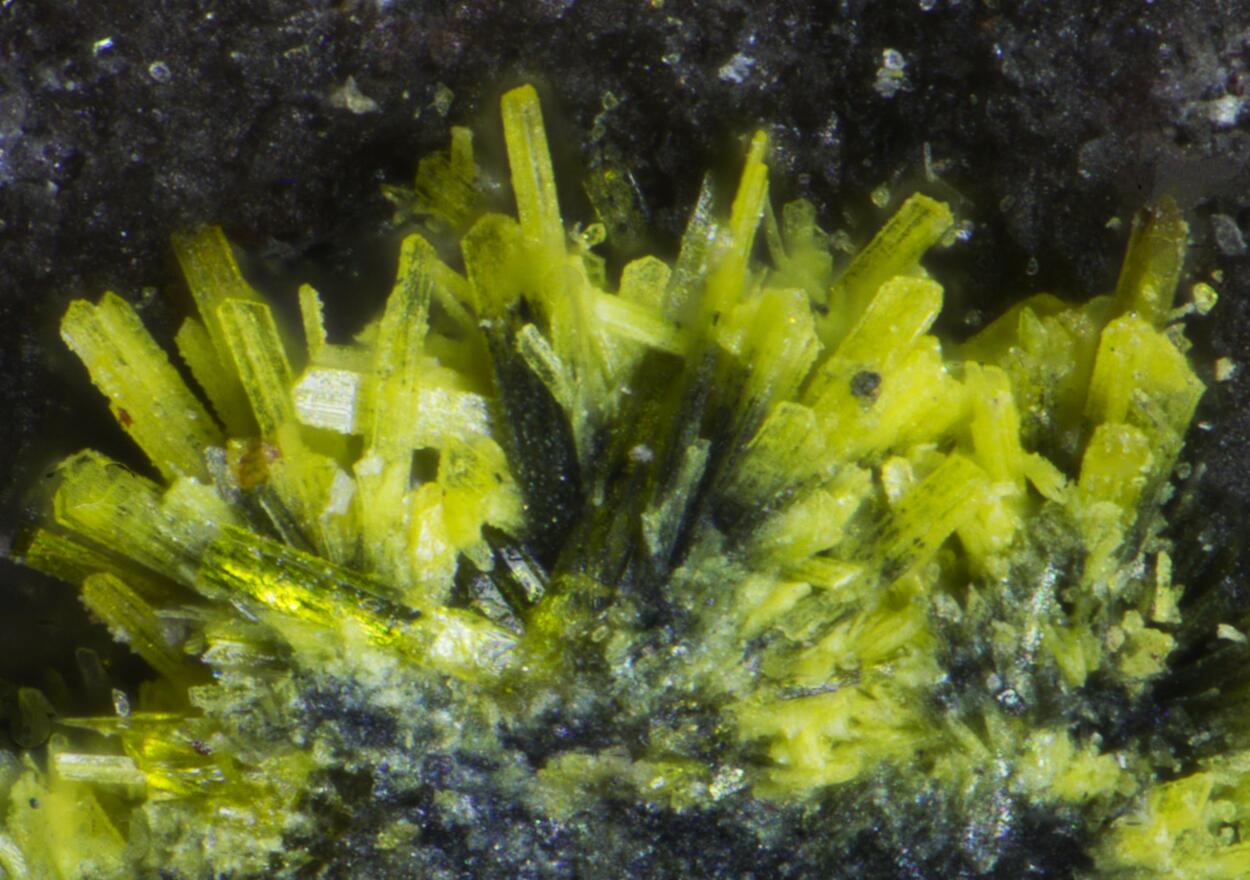 Ianthinite Schoepite Phosphuranylite Fourmarierite & Uraninite