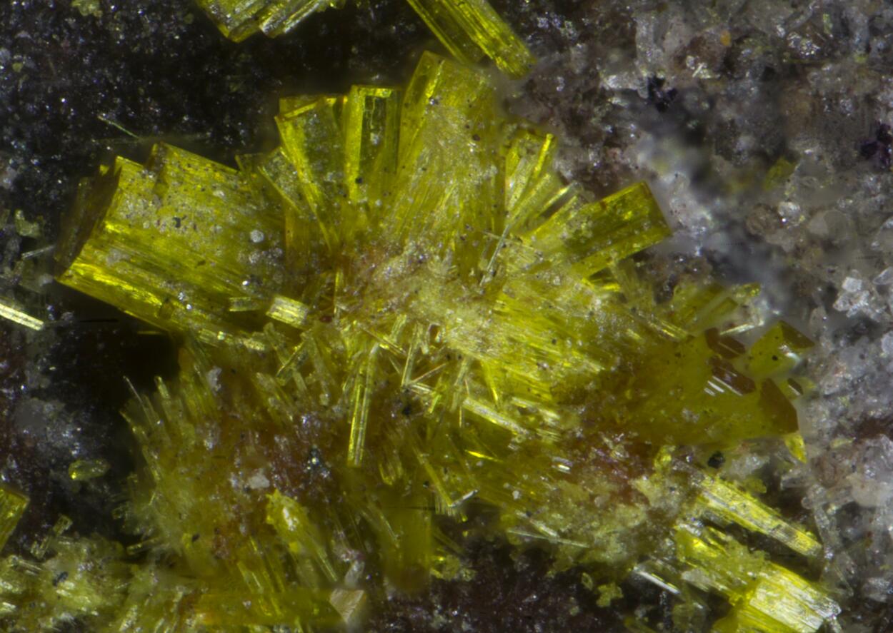 Ianthinite Schoepite Phosphuranylite Fourmarierite & Uraninite