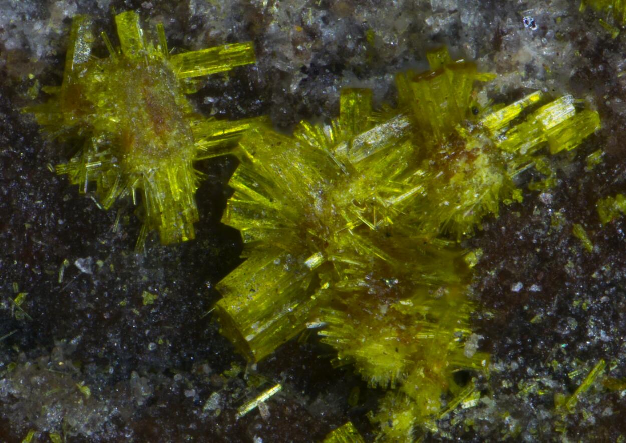 Ianthinite Schoepite Phosphuranylite Fourmarierite & Uraninite