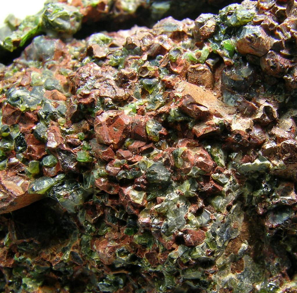 Fayalite
